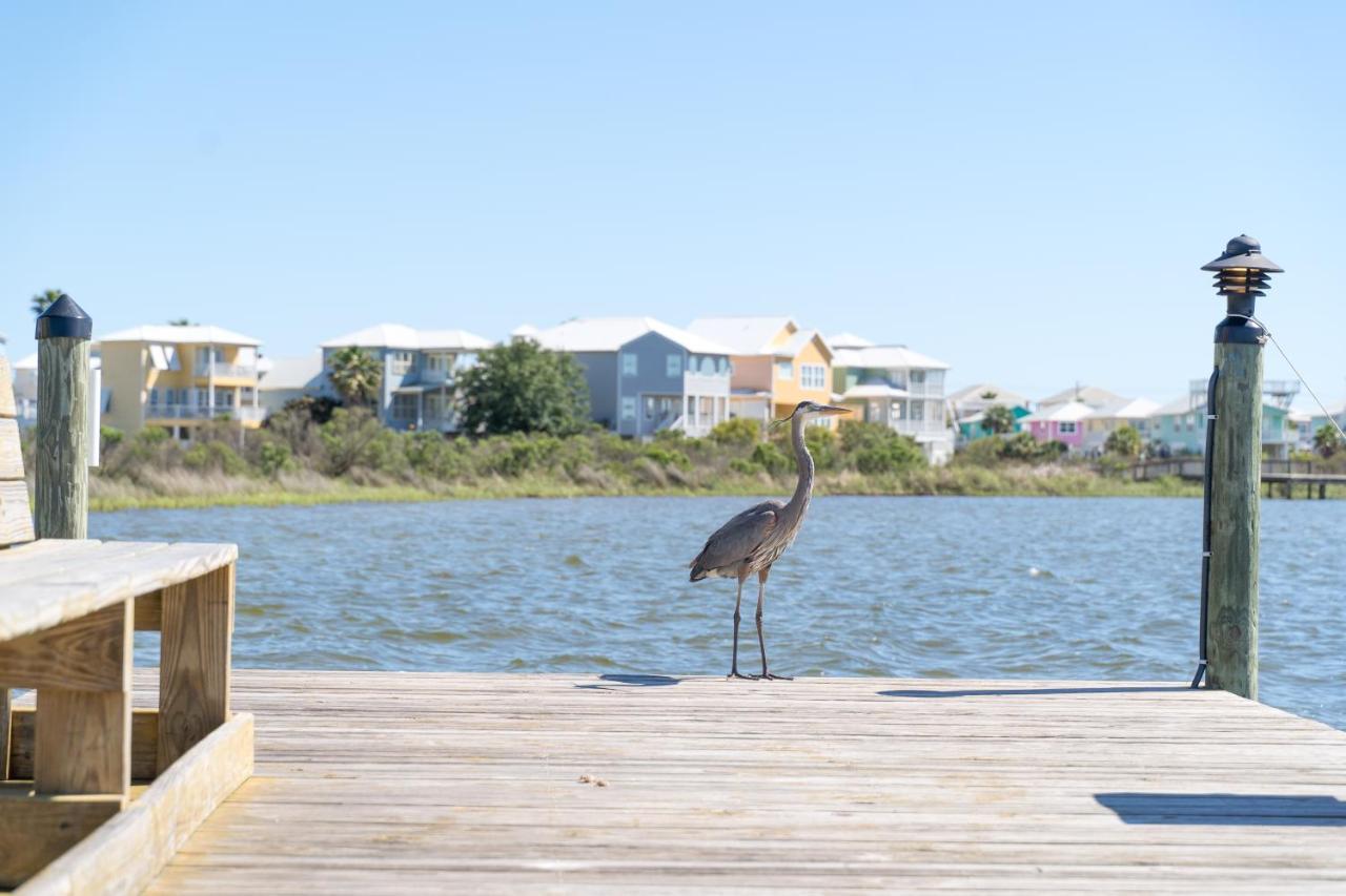Compass Point 310 Lejlighed Gulf Shores Eksteriør billede